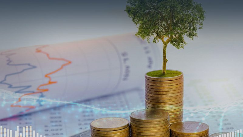 医疗器械管理体系咨询方案定制：关键要素与实施路径